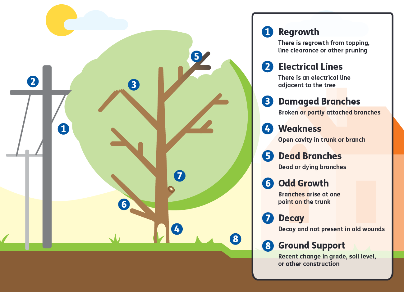 Illustration explaining critical tree conditions to consider to ensure safety near electrical lines during tree pruning