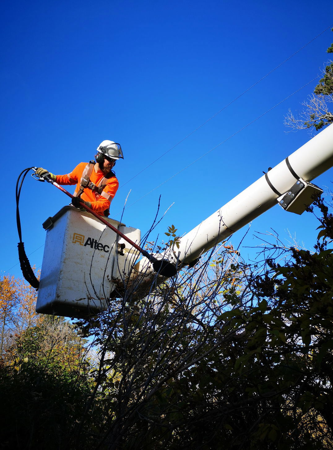 A utility worker trims tree branches near power lines from an elevated bucket to ensure electrical safety and reliability